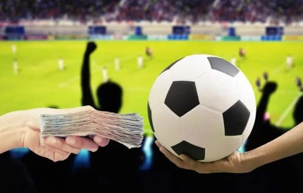 Hội viên nên ưu tiên chọn trận đấu đã biết rõ