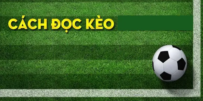 Cách đọc kèo đồng banh W88